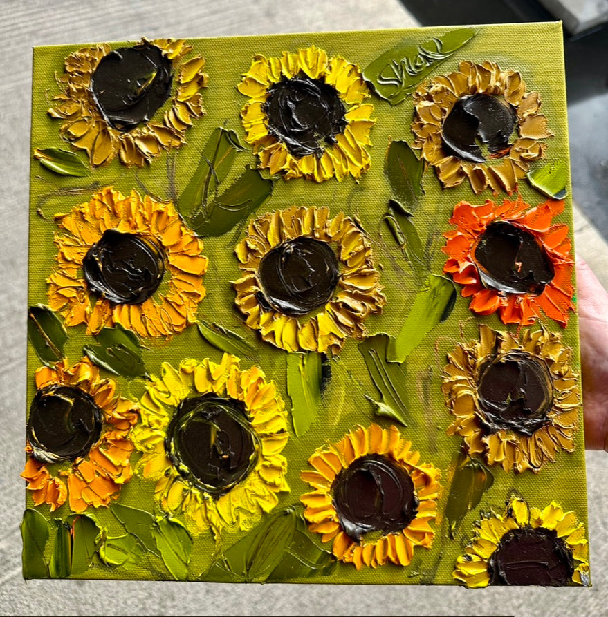 Sunflower Blooms