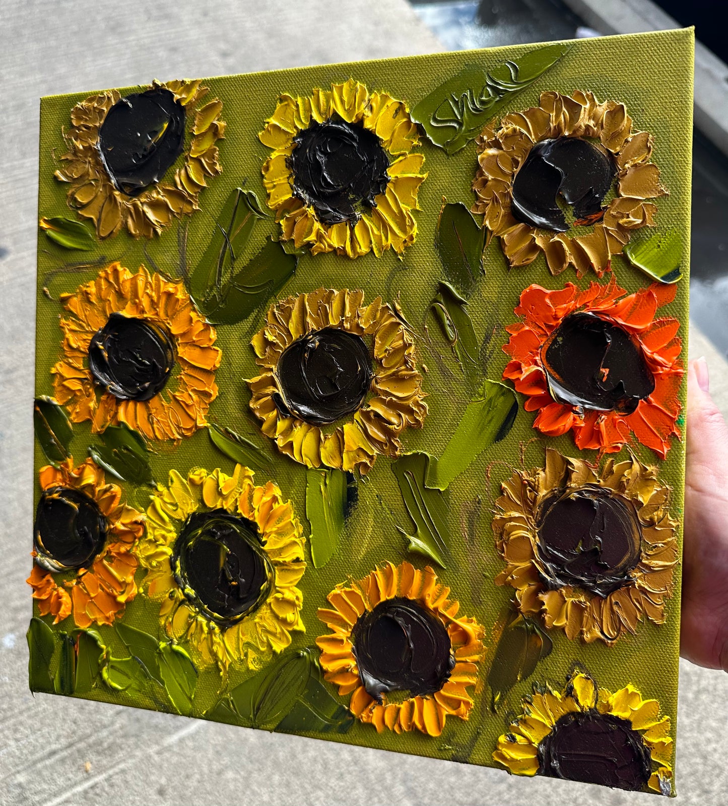 Sunflower Blooms